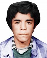 آلبوم اختصاصی تصاویر شهید رجب جباری قادیکلایی . کد 1403270549 آ