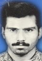 آلبوم اختصاصی تصاویر شهید جعفر جرگه . کد 1403329444 آ