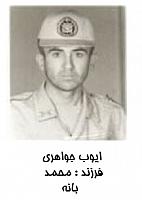 آلبوم اختصاصی تصاویر شهید ایوب جواهری . کد 1403329053 آ