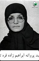 آلبوم اختصاصی تصاویر شهید پروانه ابراهیم زاده قره . کد 1403292917 آ