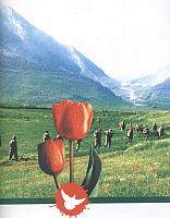 آلبوم اختصاصی تصاویر شهید ربابه ابراهیمی . کد 1403292984 آ