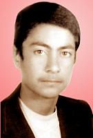 آلبوم اختصاصی تصاویر شهید محمدحسن ابراهیمی شمس اباد . کد 1403293025 آ