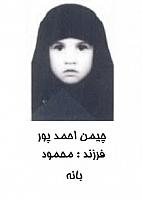 آلبوم اختصاصی تصاویر شهید چیمن احمدپور . کد 1403317348 آ