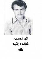 آلبوم اختصاصی تصاویر شهید انور احمدی . کد 1403240526 آ