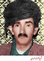 آلبوم اختصاصی تصاویر شهید نصراله احمدی . کد 1403254185 آ