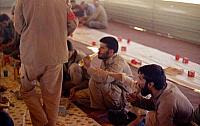 Shafighefakeh.ir (113)