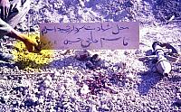 Shafighefakeh.ir (129)