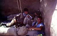Shafighefakeh.ir (159)