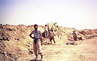 Shafighefakeh.ir (161)