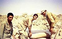 Shafighefakeh.ir (163)