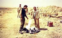 Shafighefakeh.ir (177)