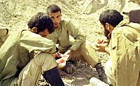 Shafighefakeh.ir (198)