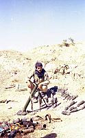 Shafighefakeh.ir (223)