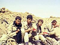 Shafighefakeh.ir (227)