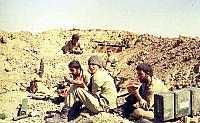 Shafighefakeh.ir (228)