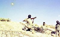 Shafighefakeh.ir (233)