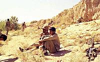 Shafighefakeh.ir (235)