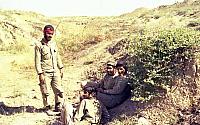 Shafighefakeh.ir (254)