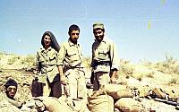 Shafighefakeh.ir (256)