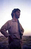 Shafighefakeh.ir (271)