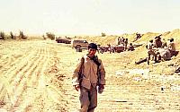 Shafighefakeh.ir (291)