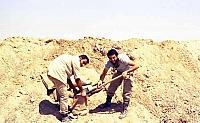 Shafighefakeh.ir (298)