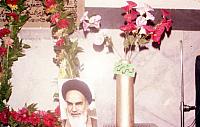 Shafighefakeh.ir (327)