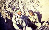 Shafighefakeh.ir (34)