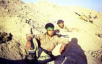 Shafighefakeh.ir (35)