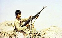Shafighefakeh.ir (351)