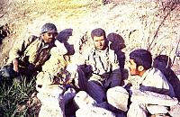 Shafighefakeh.ir (46)