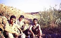 Shafighefakeh.ir (50)