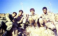 Shafighefakeh.ir (52)