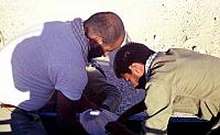 Shafighefakeh.ir (7)