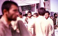 Shafighefakeh.ir (72)