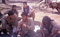 Shafighefakeh.ir 0 (226)