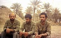 Shafighefakeh.ir 0 (247)