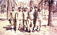 Shafighefakeh.ir 0 (298)