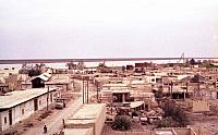 Shafighefakeh.ir 0 (356)