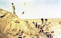Shafighefakeh.ir 0 (444)