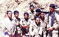 Shafighefakeh.ir- (227)