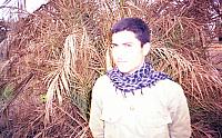 Shafighefakeh.ir- (263)