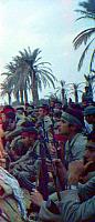 Shafighefakeh.ir- (323)