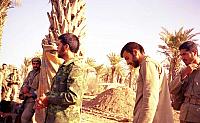Shafighefakeh.ir- (333)