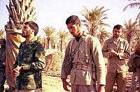 Shafighefakeh.ir- (334)