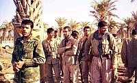 Shafighefakeh.ir- (340)