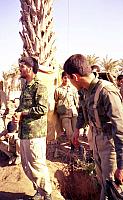 Shafighefakeh.ir- (344)