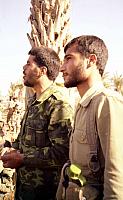 Shafighefakeh.ir- (355)