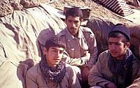Shafighefakeh.ir- (408)