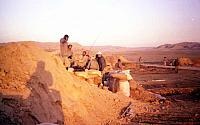 Shafighefakeh.ir- (476)